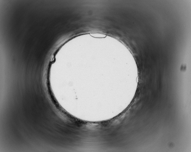 X0000103440055200810241131