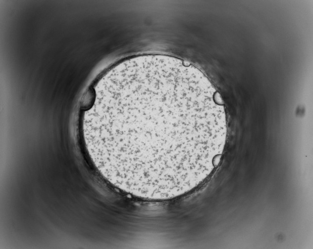 X0000103440056200810241131