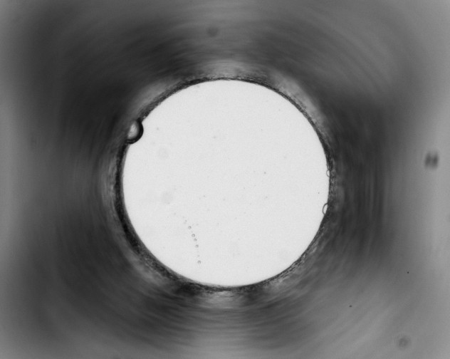 X0000103440058200810241131