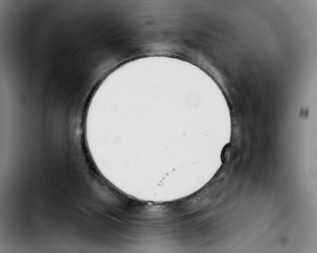 X0000103440059200810241131