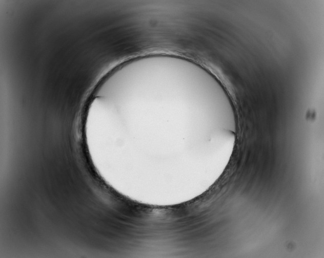 X0000103440060200810241131