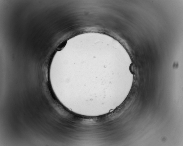 X0000103440061200810241131