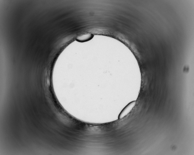 X0000103440062200810241131