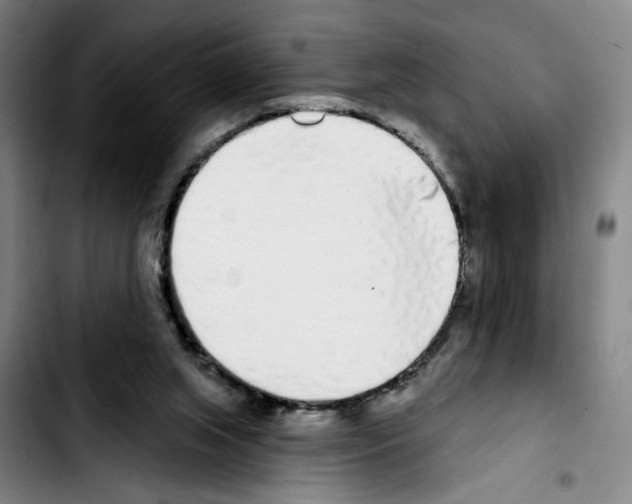 X0000103440063200810241131