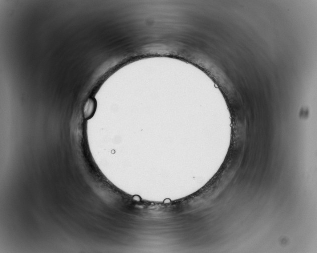 X0000103440064200810241131