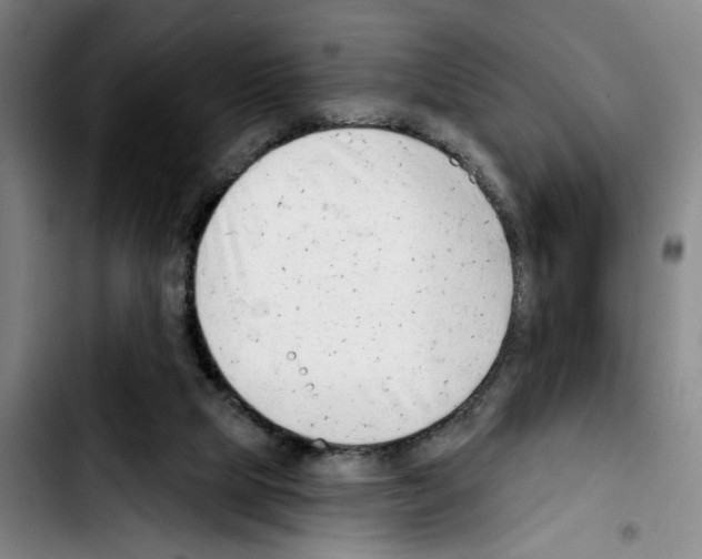 X0000103440065200810241131