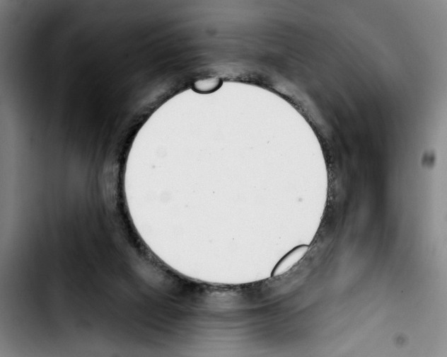 X0000103440066200810241131