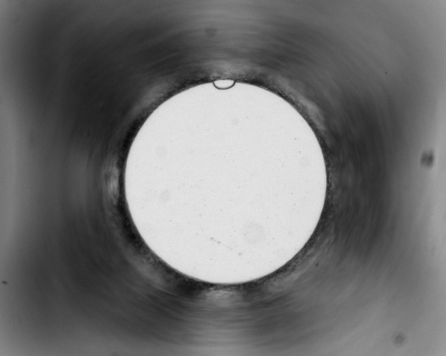 X0000103440067200810241131