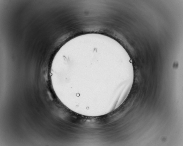 X0000103440068200810241131