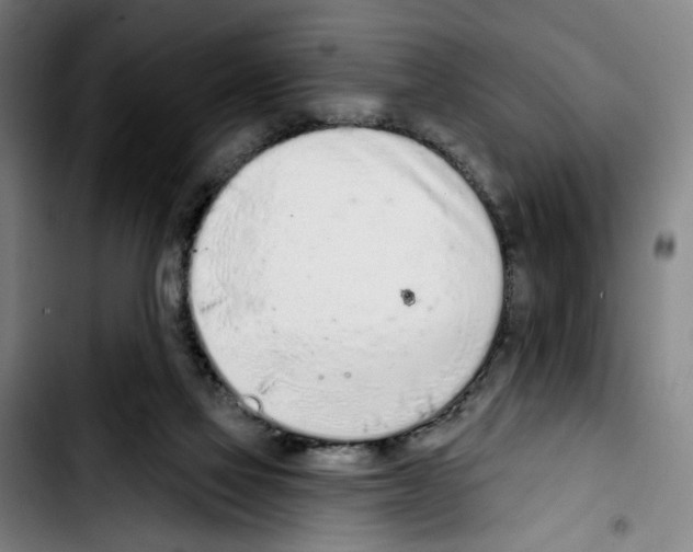 X0000103440069200810241131