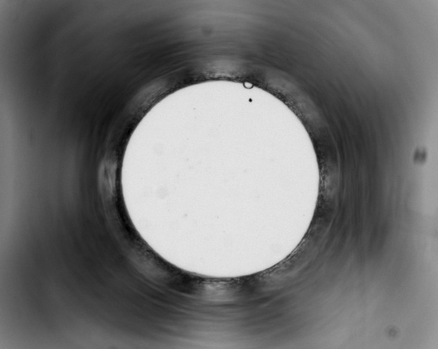 X0000103440070200810241131