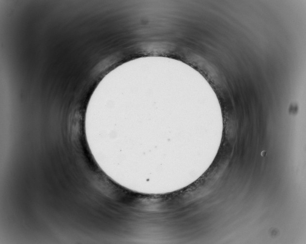 X0000103440071200810241131