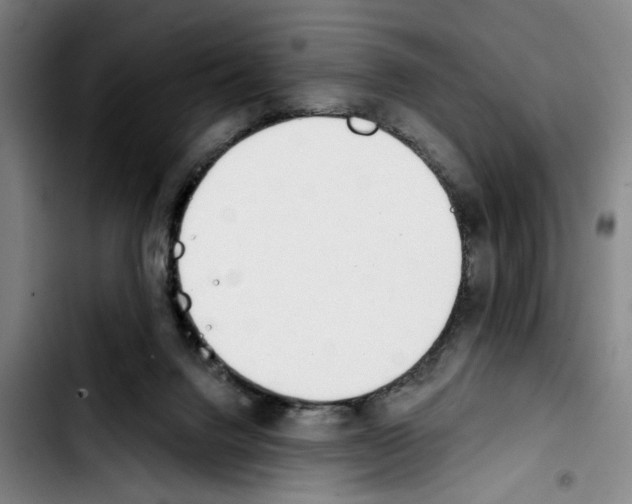 X0000103440072200810241131