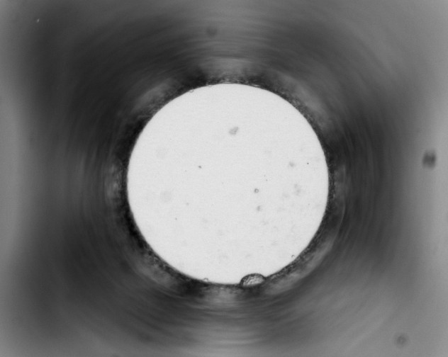 X0000103440073200810241131
