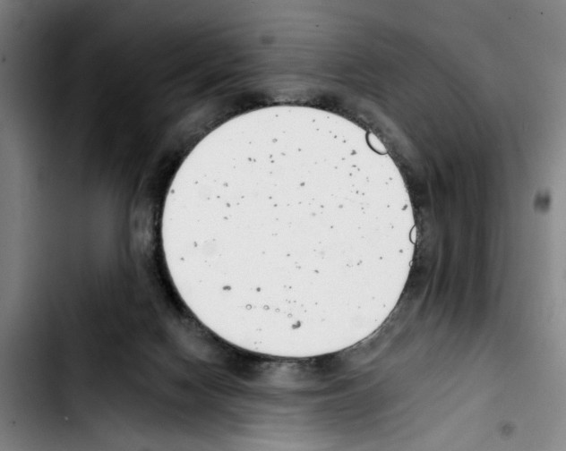 X0000103440074200810241131