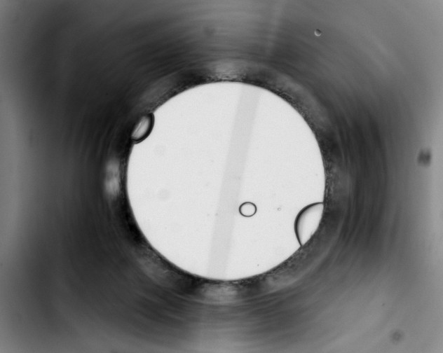 X0000103440075200810241131