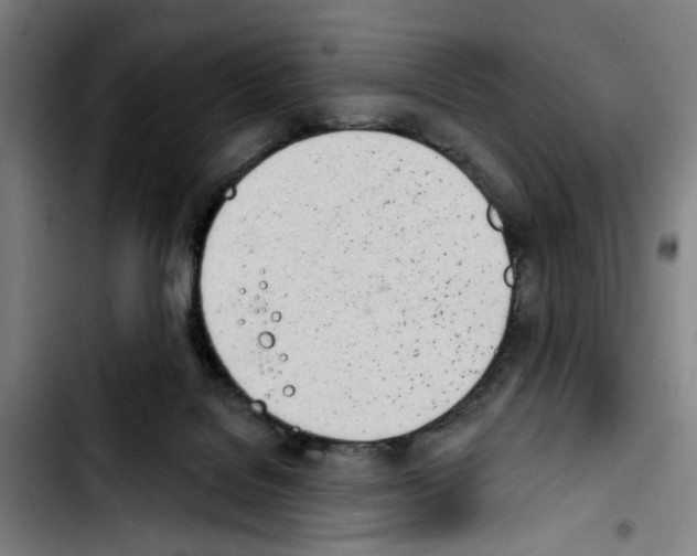 X0000103440076200810241131