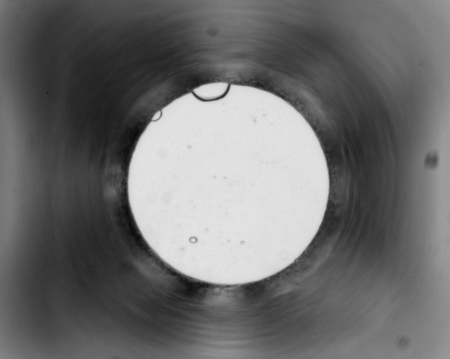 X0000103440077200810241131