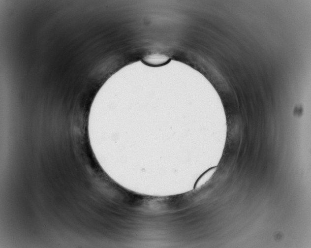 X0000103440078200810241131