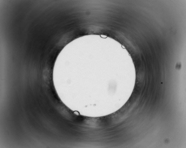 X0000103440079200810241131