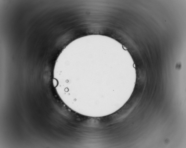 X0000103440080200810241131