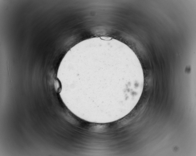 X0000103440081200810241131