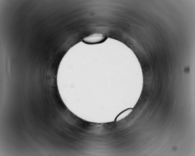 X0000103440083200810241131