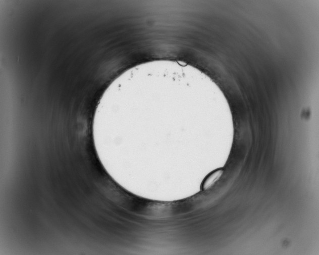 X0000103440084200810241131