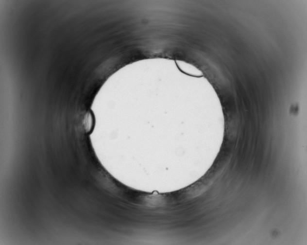 X0000103440085200810241131