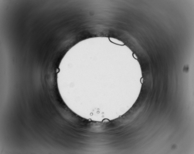 X0000103440088200810241131