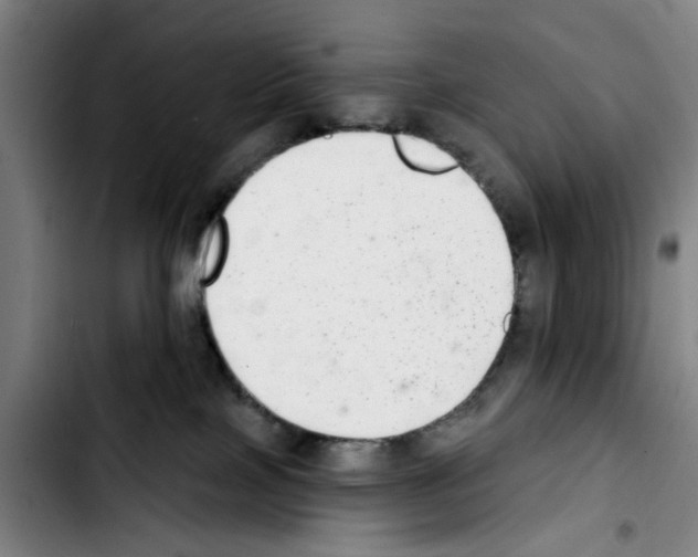 X0000103440089200810241132