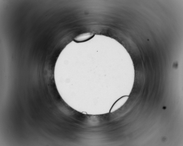 X0000103440091200810241132