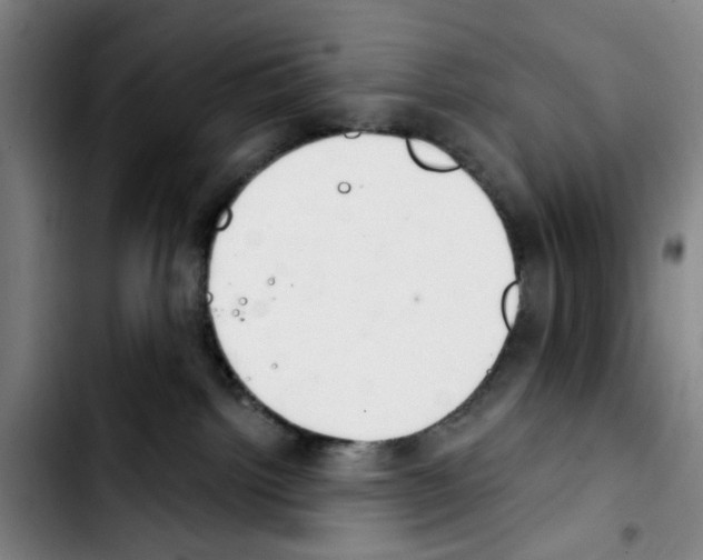 X0000103440092200810241132