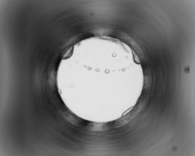 X0000103440093200810241132