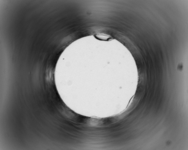X0000103440094200810241132