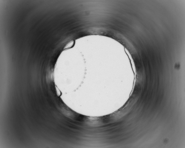 X0000103440095200810241132