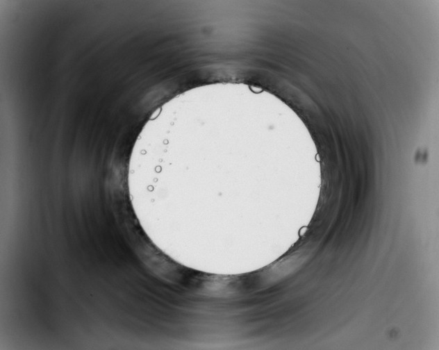 X0000103440096200810241132