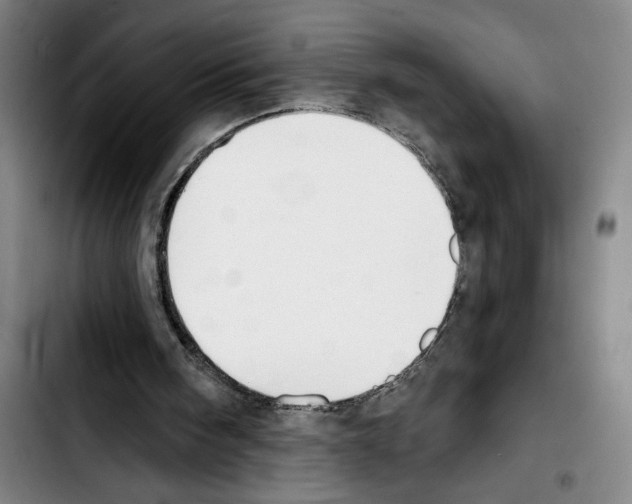 X0000103440098200810241131