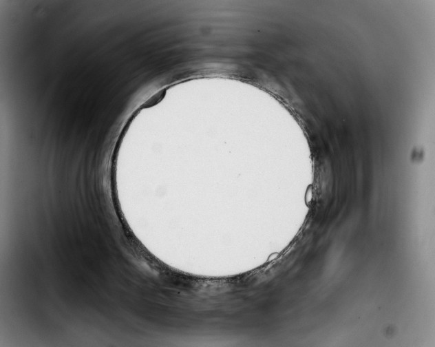 X0000103440099200810241131