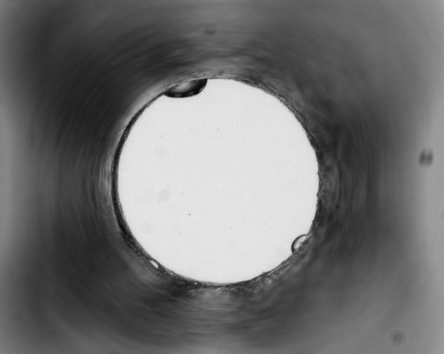 X0000103440100200810241131