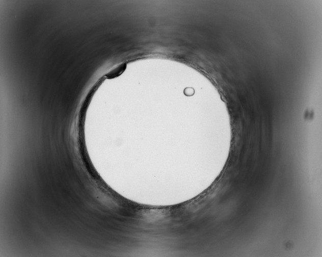 X0000103440102200810241131