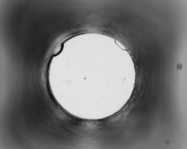 X0000103440103200810241131