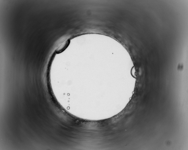 X0000103440104200810241131