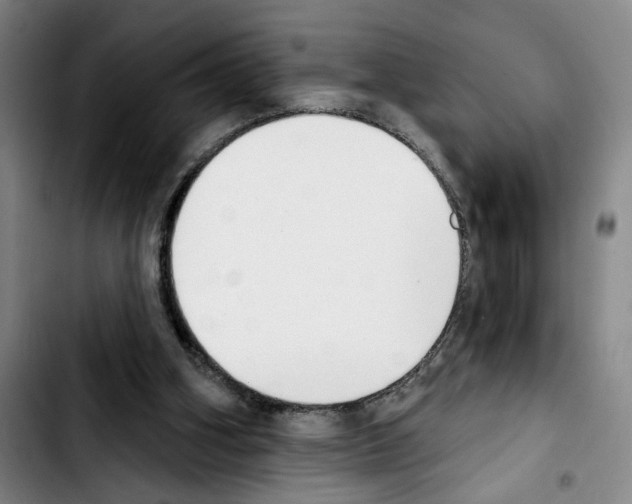 X0000103440106200810241131
