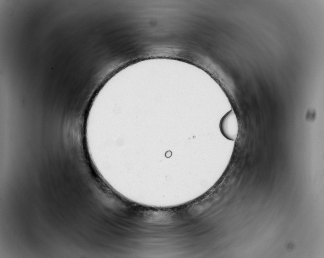 X0000103440107200810241131