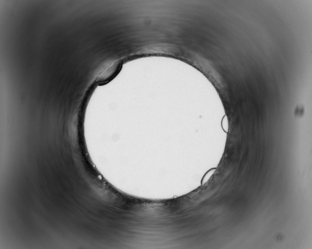X0000103440108200810241131