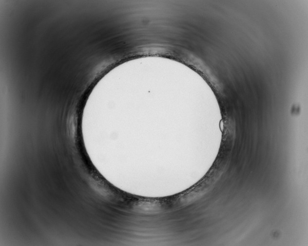 X0000103440110200810241131