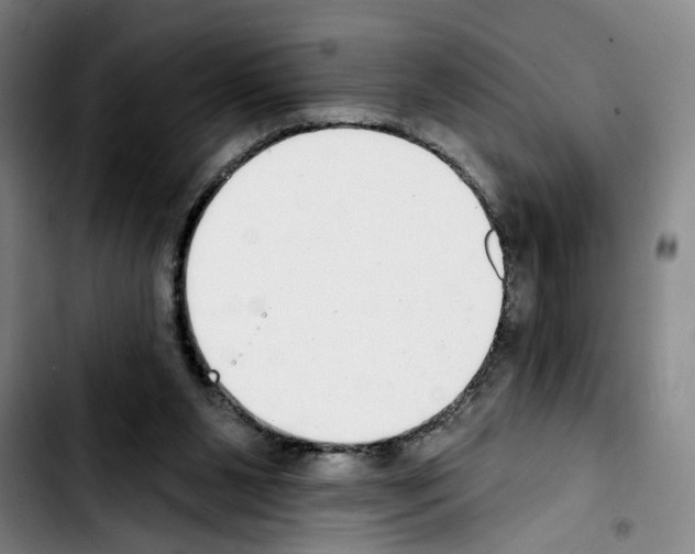 X0000103440111200810241131