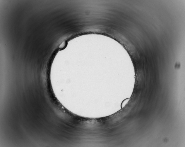 X0000103440112200810241131