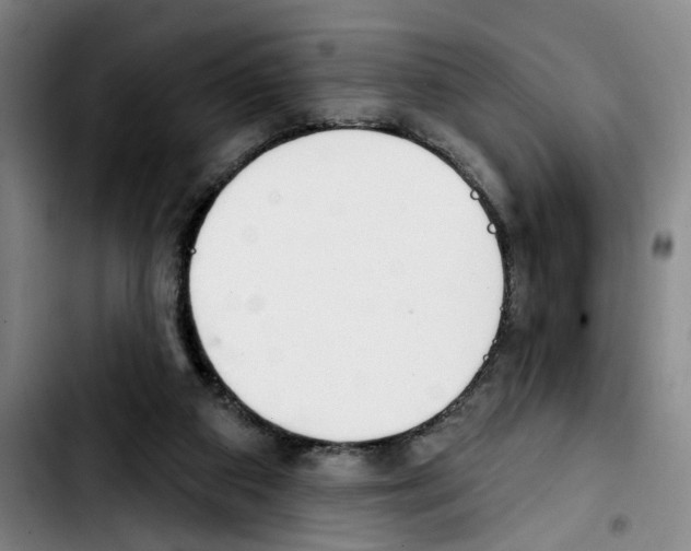 X0000103440113200810241131